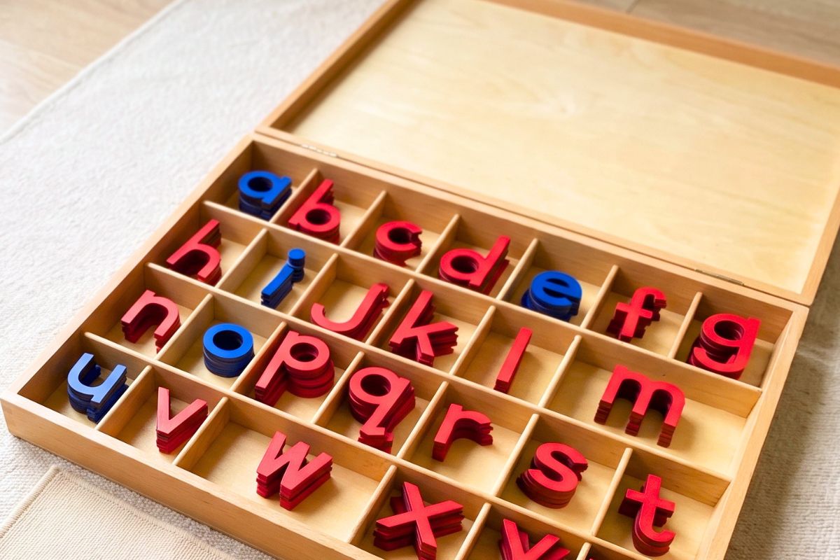 montessori movable alphabet letters montessori movable alphabet letters